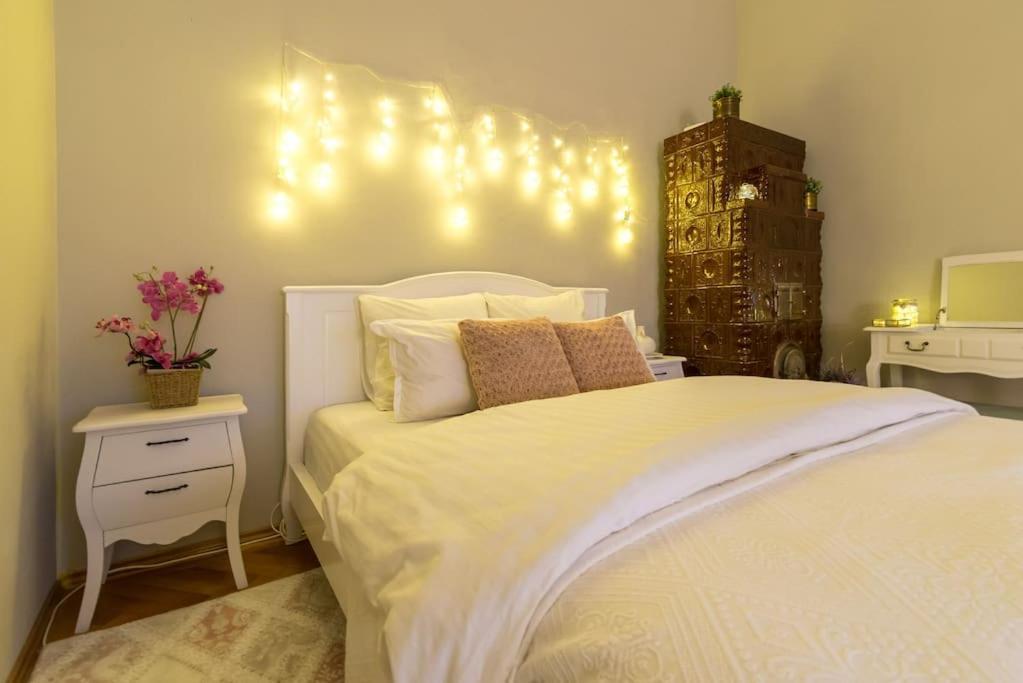 No.8: Lovely & Cosy 3-Room Heart Of The City Тимишоара Экстерьер фото